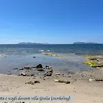 Sole In Giulia Sul Mare *