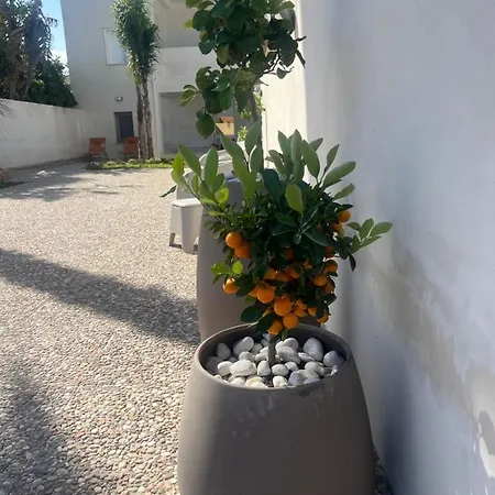Apartment Sole In Giulia Sul Mare *
