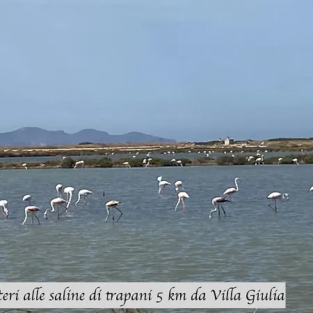 Sole In Giulia Sul Mare *